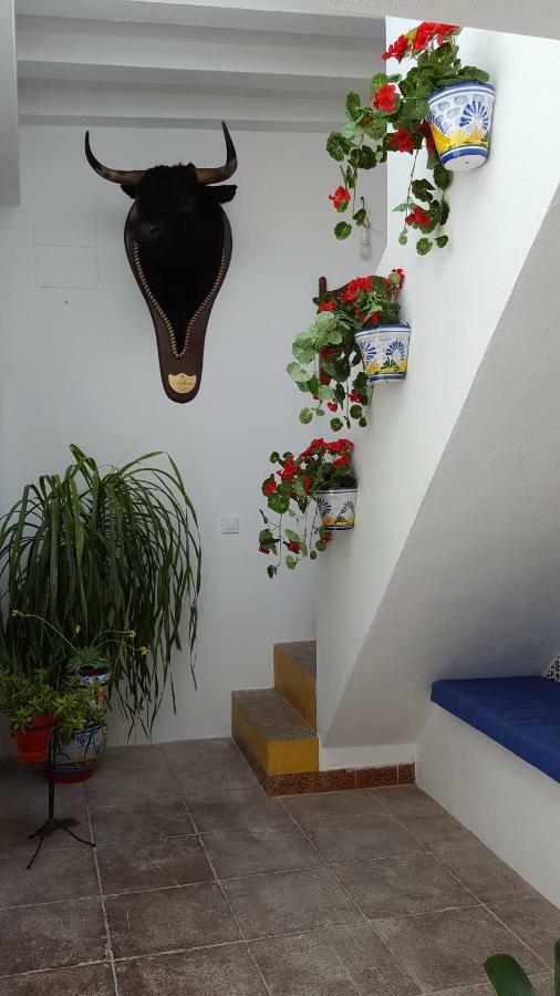 Casa Ricardo " Le Gite " أركوس ديلا فرونتيرا المظهر الخارجي الصورة